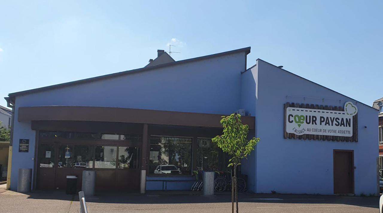 Le Bienvenue A Colmar - Parking Prive Inclus, Centre A Deux Pas Lägenhet Exteriör bild